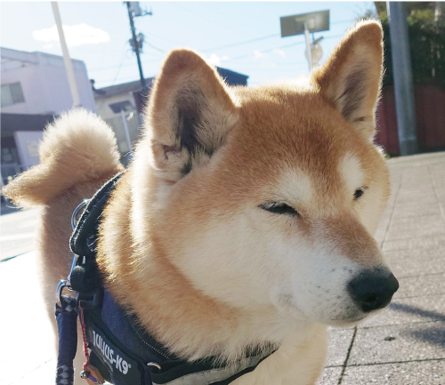 太郎