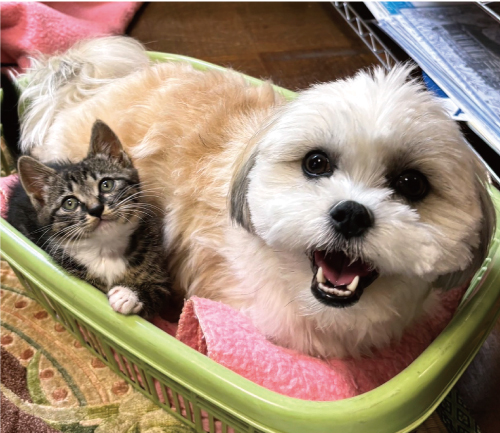 ハナ&ハル