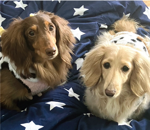 イヅナ&時