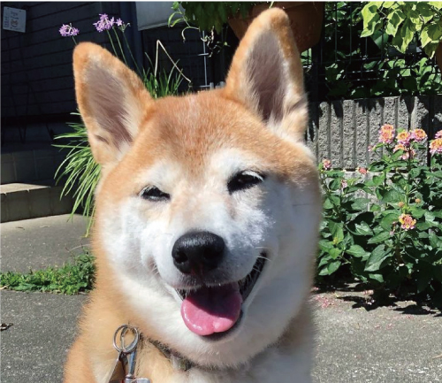 天