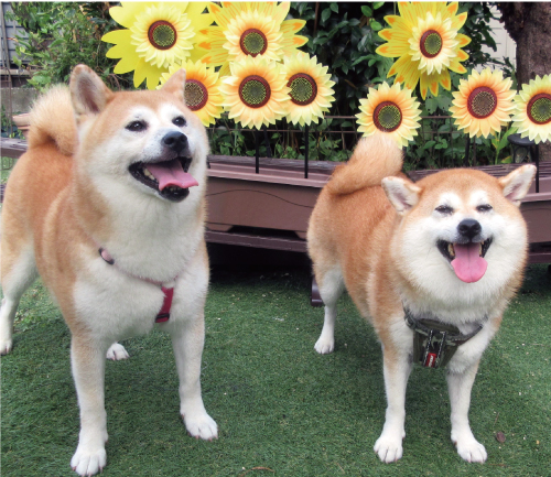 民子＆里桜
