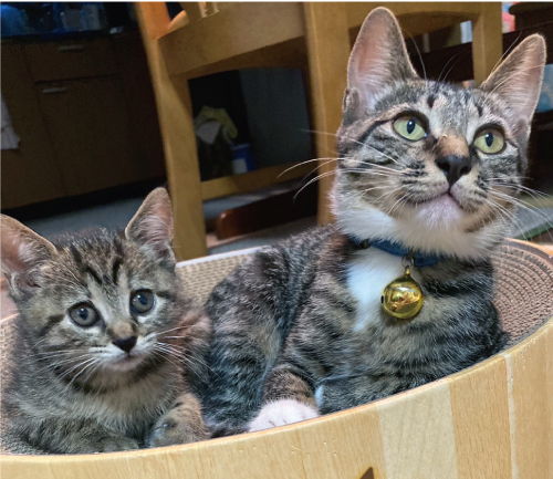 マル&ハル 