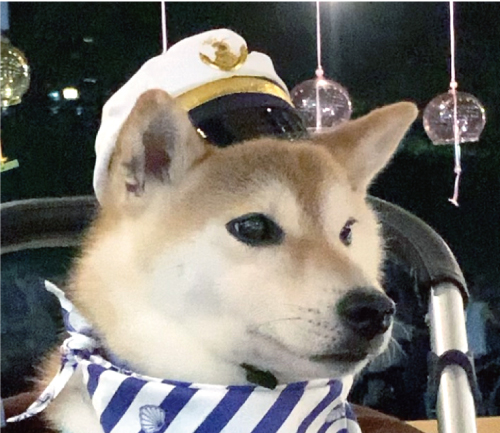 ベル