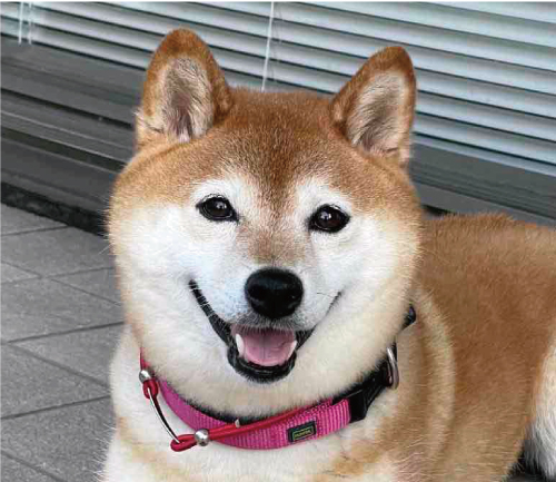 そら