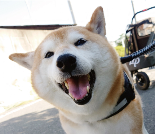 太郎