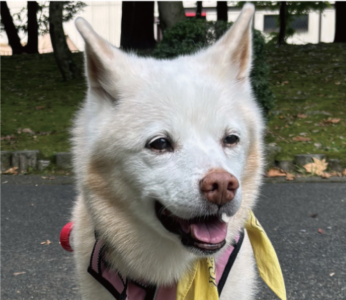 ミル