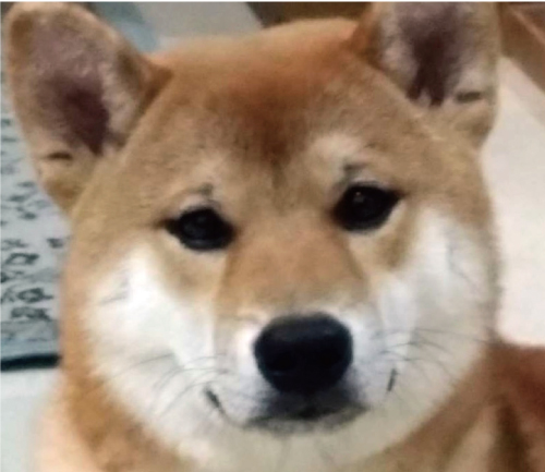 だいすけ