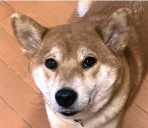 モアナ