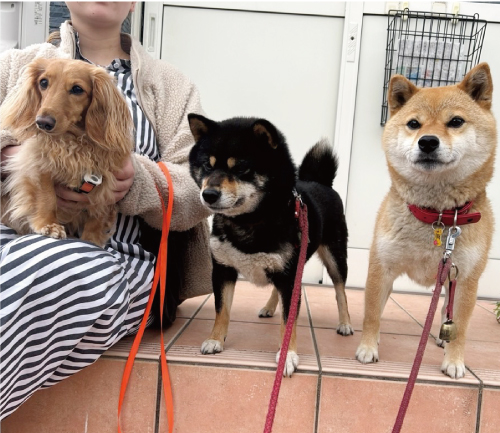ユメ&ナナ&ラスティ