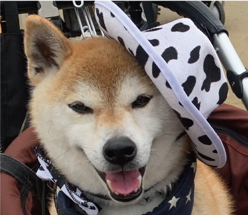 ベル