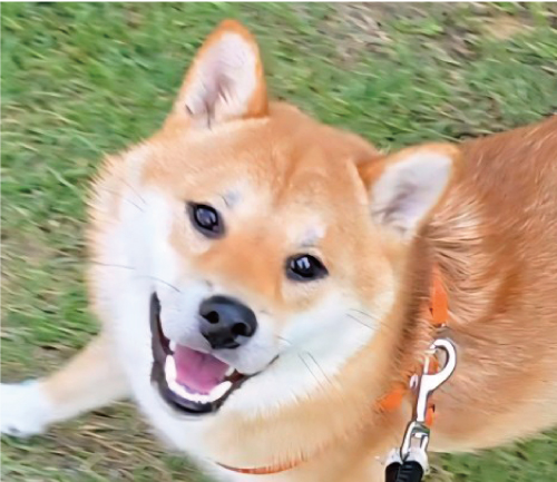 太郎