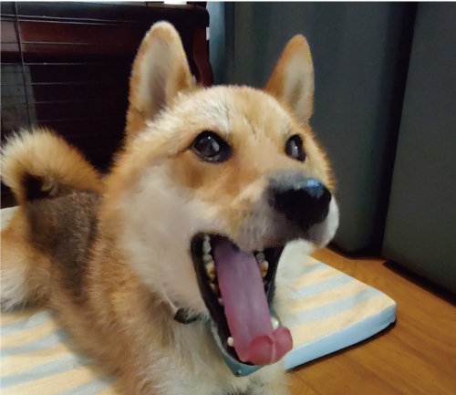 かぐら