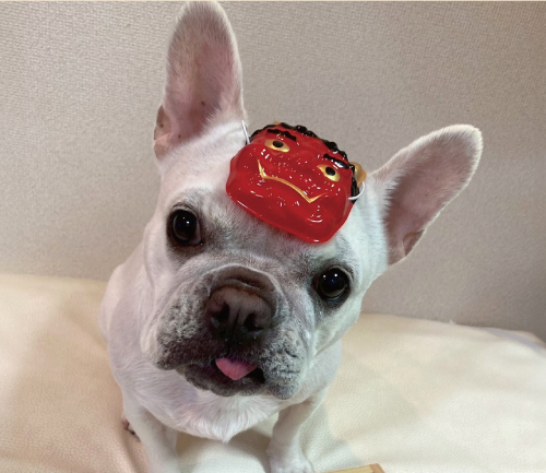 SAまるに