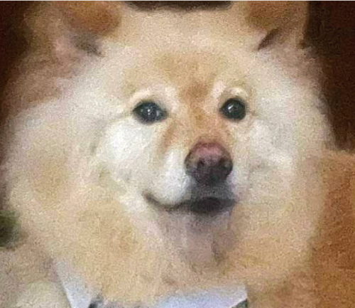 フラ