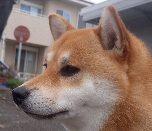 太郎