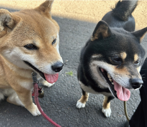ゆめ&なな