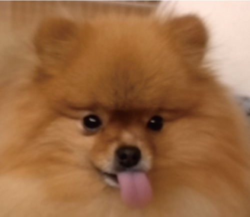 るぅ