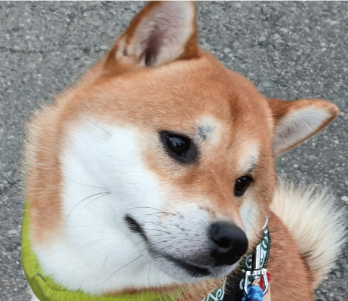 太郎