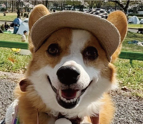 コニー
