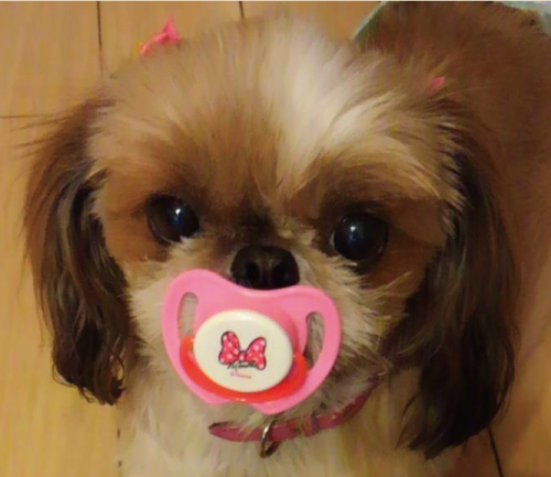 ナナ