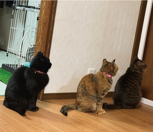 源三&ナナ&フク