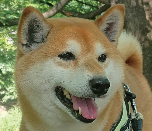 太郎