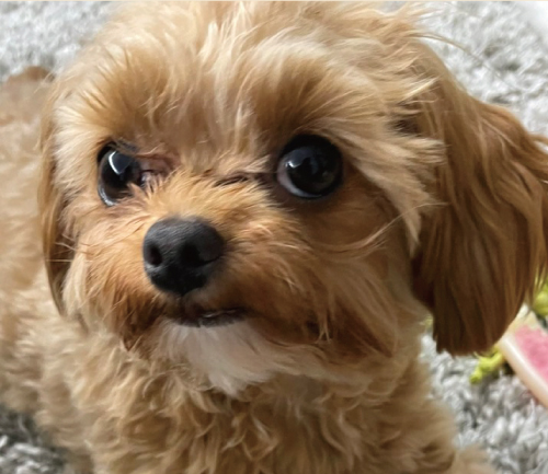 アムロ