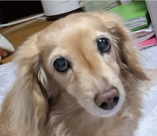 アーニー