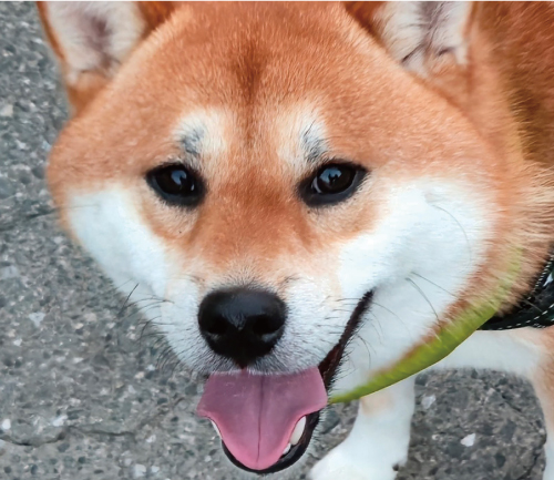 太郎